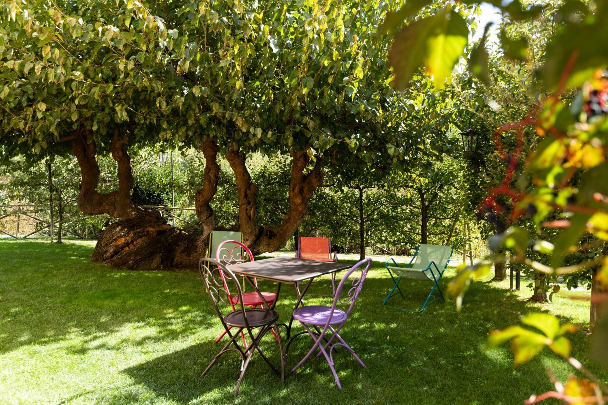 Agriturismo I Gelsi Di Santa Cristina Gubbio Extérieur photo